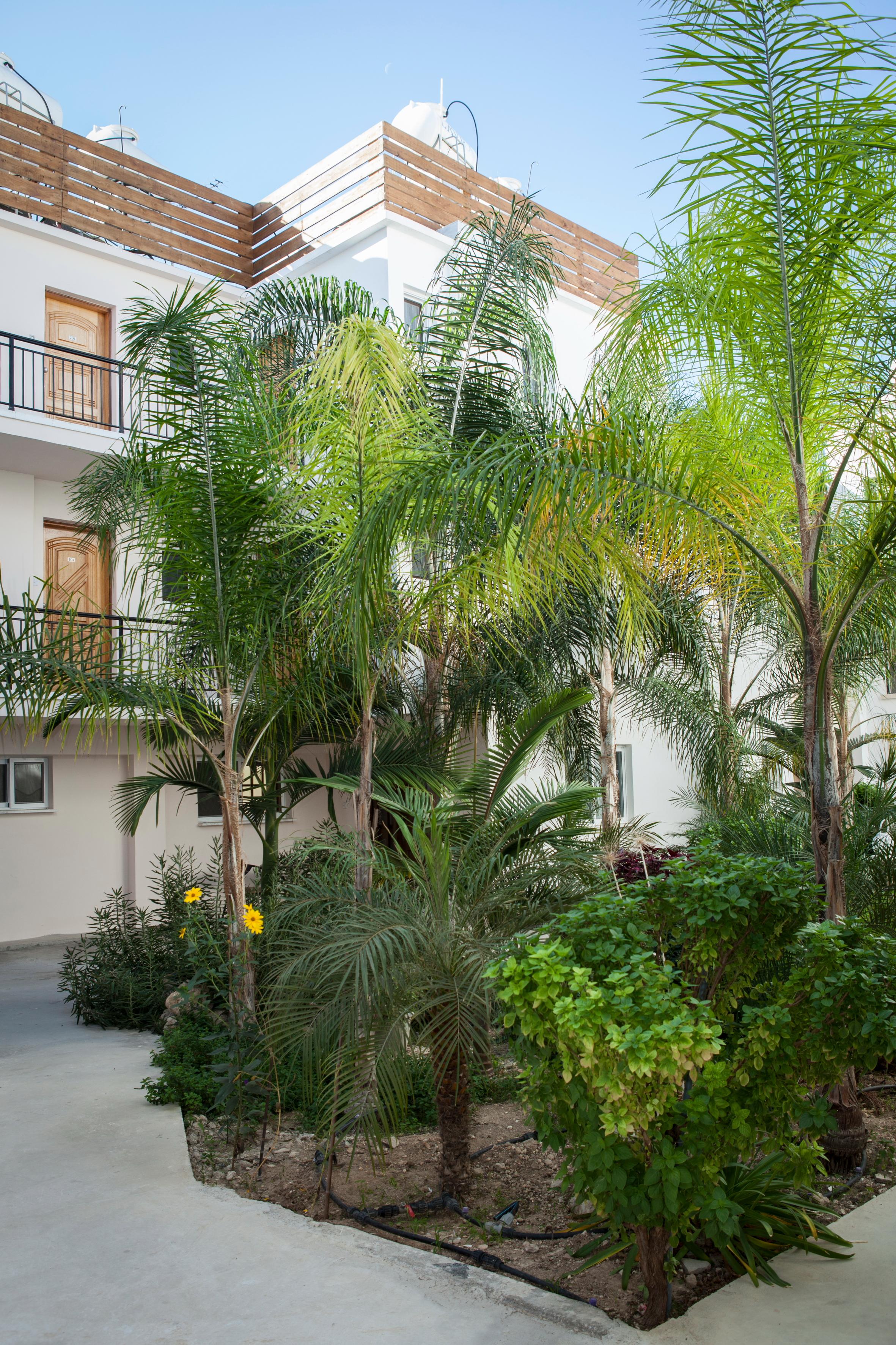 Alecos Hotel Apartments Paphos Buitenkant foto