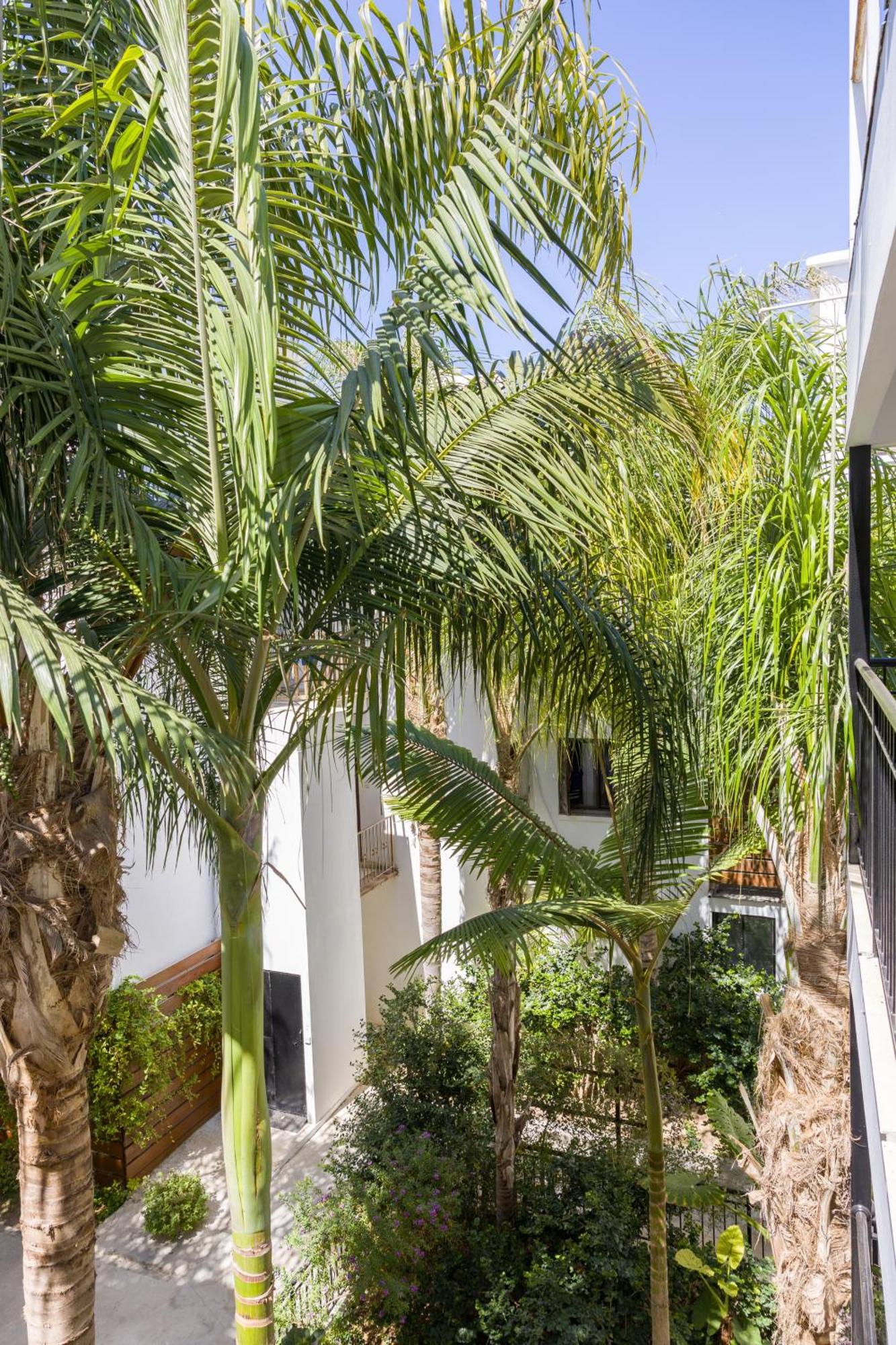Alecos Hotel Apartments Paphos Buitenkant foto